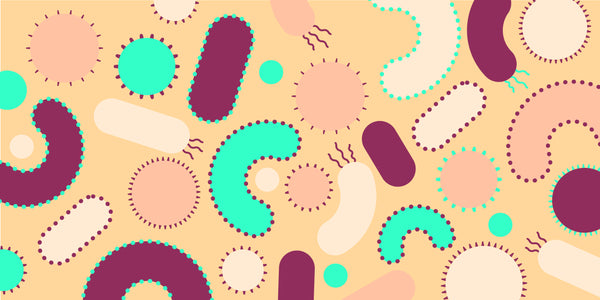 There are creatures living in your mouth. The Microbiome Explained.