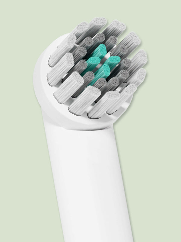 Close up of quip 360 oscillating toothbrush head